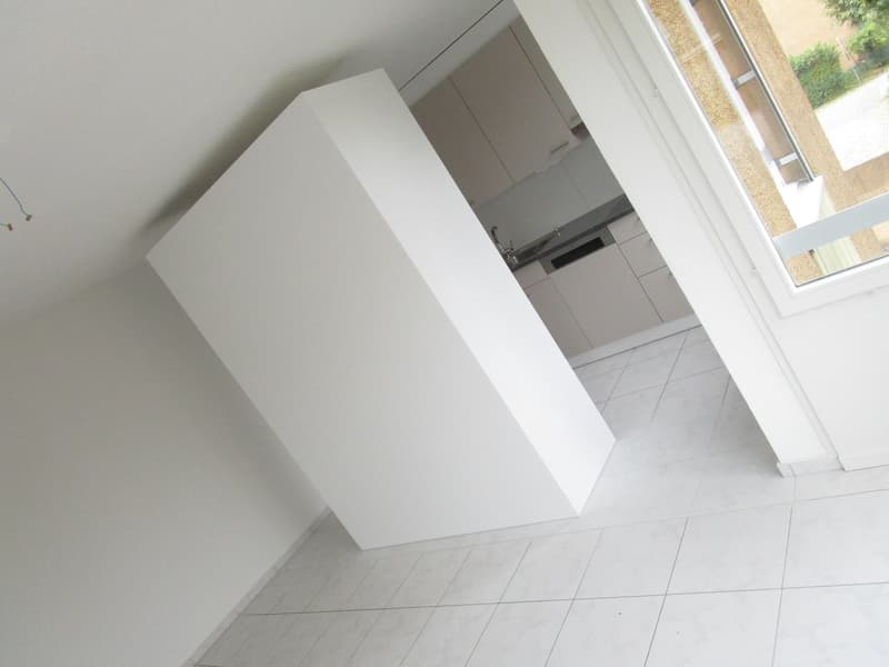 3.5-Zimmerwohnung mit neuer Küche (4)