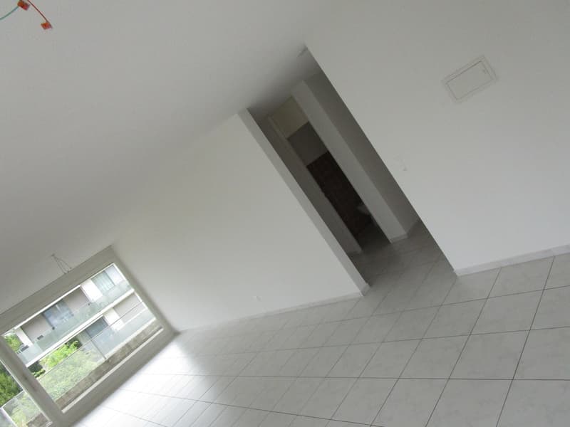 3.5-Zimmerwohnung mit neuer Küche (1)