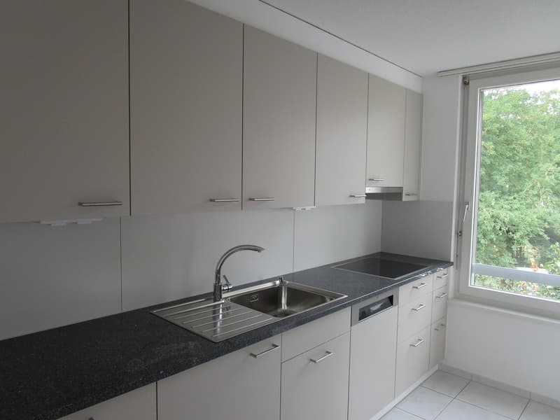 3.5-Zimmerwohnung mit neuer Küche (7)