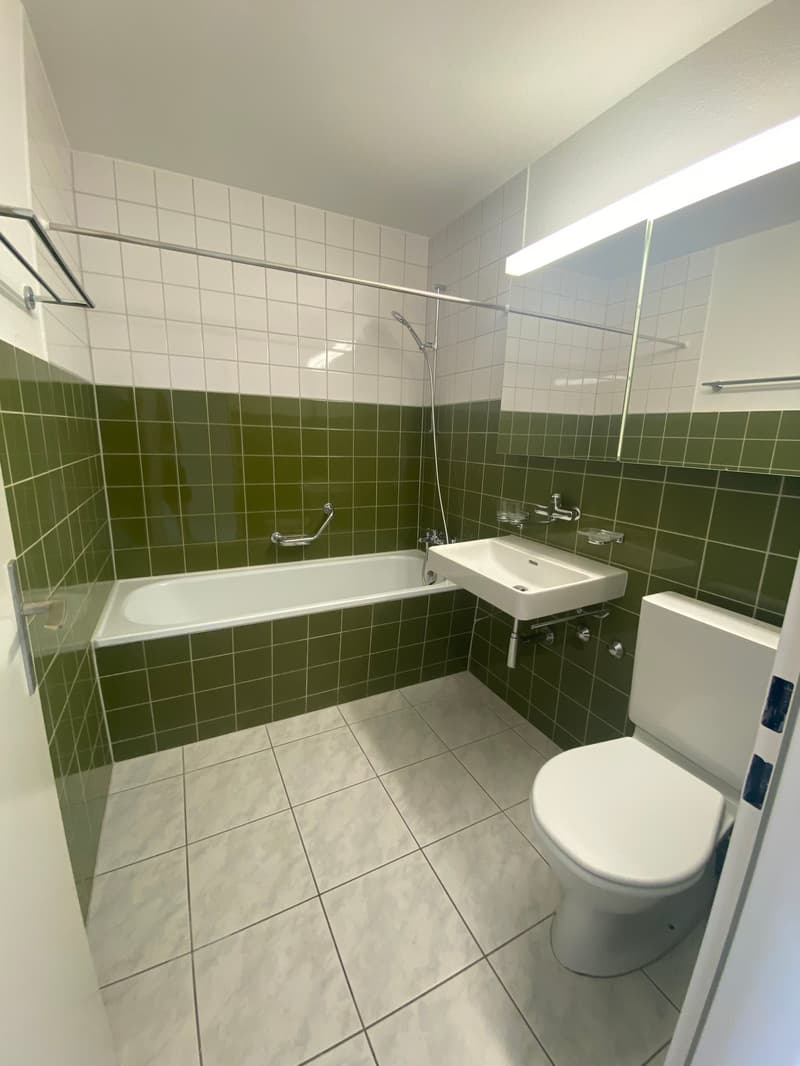 Gemütliche 2-Zimmer-Wohnung mit Balkon in Olten (8)
