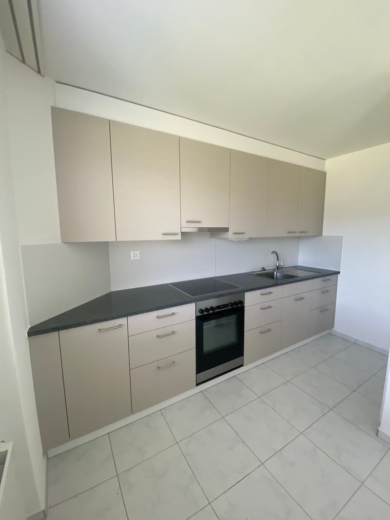 Helle 1-Zimmer-Attikawohnung schöner Aussicht in Olten (6)