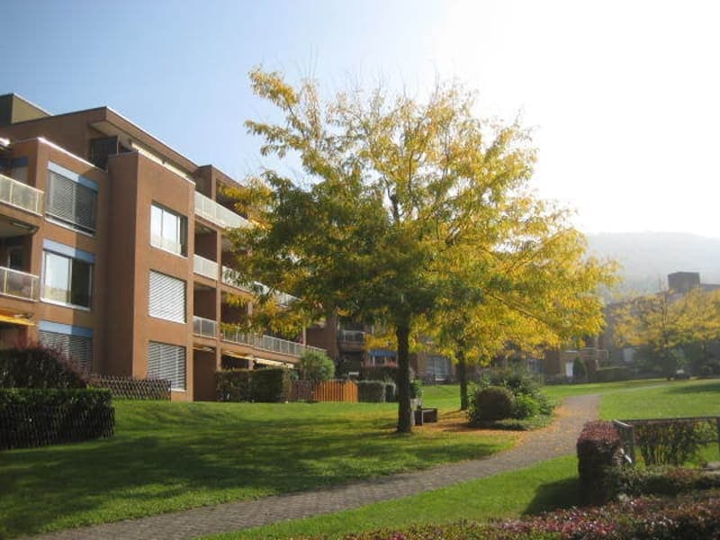 Helle 1-Zimmer-Attikawohnung schöner Aussicht in Olten (1)