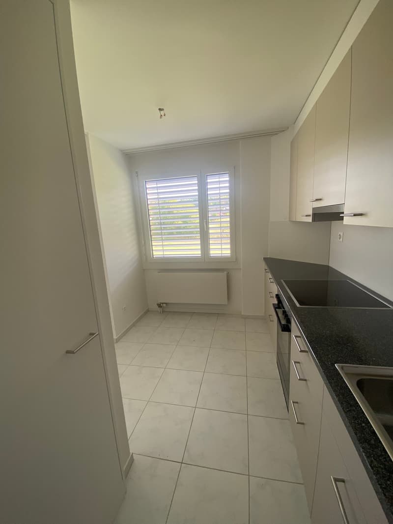 Helle 1-Zimmer-Attikawohnung schöner Aussicht in Olten (8)
