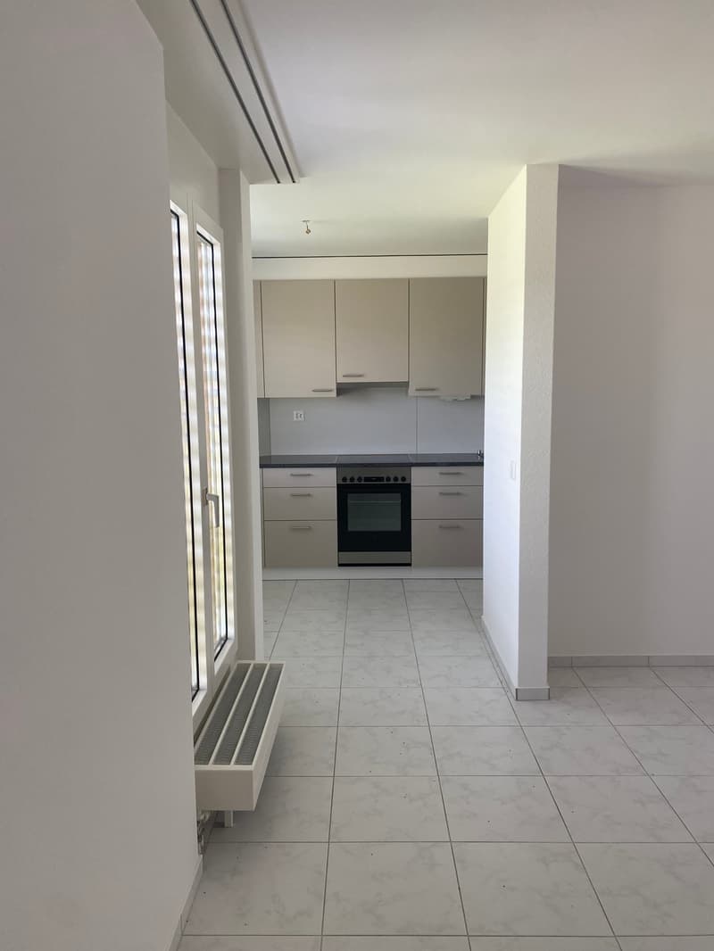 Helle 1-Zimmer-Attikawohnung schöner Aussicht in Olten (5)