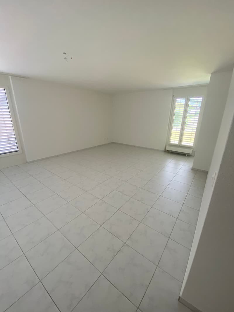 Helle 1-Zimmer-Attikawohnung schöner Aussicht in Olten (3)