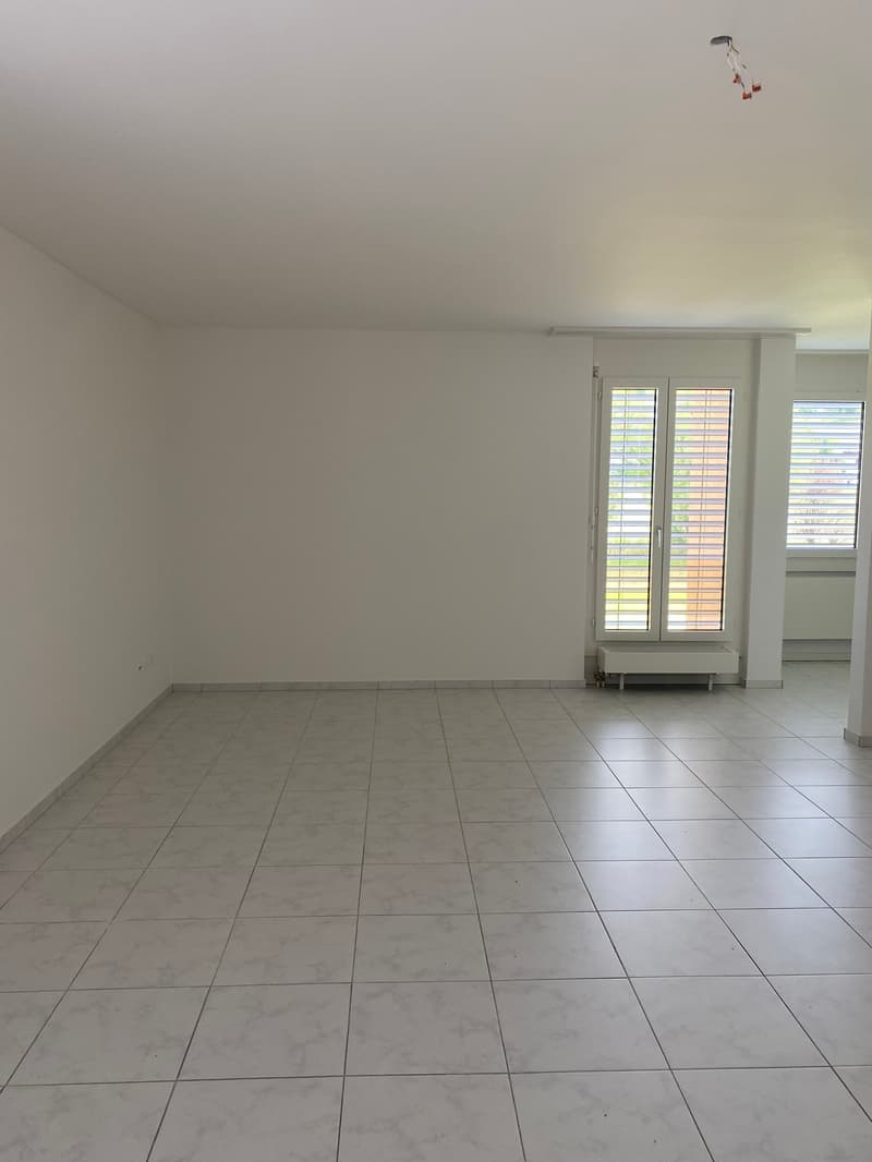 Helle 1-Zimmer-Attikawohnung schöner Aussicht in Olten (4)