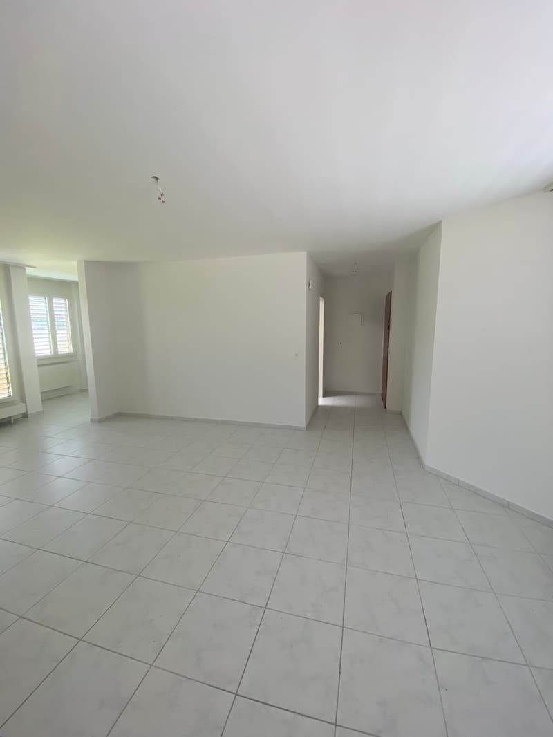 Helle 1-Zimmer-Attikawohnung schöner Aussicht in Olten (10)