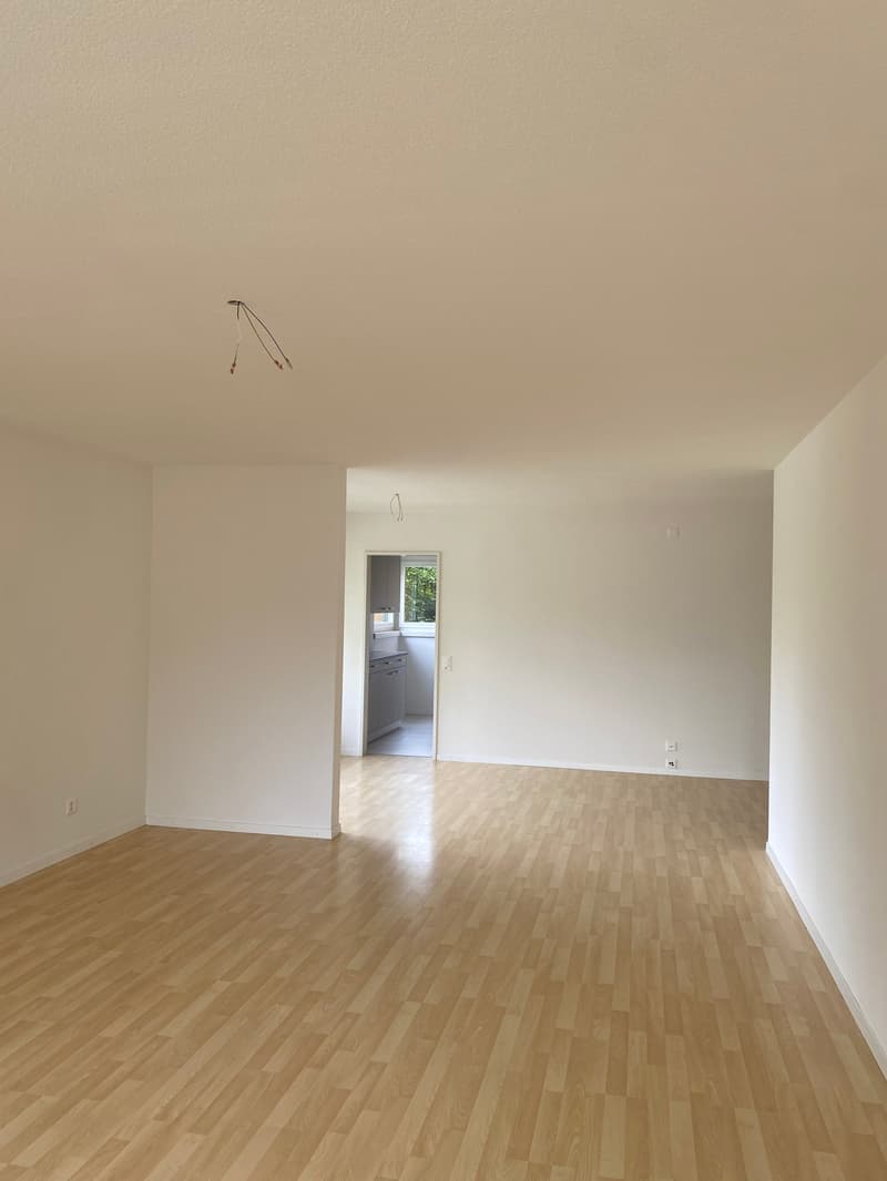Frische 3.5-Zimmer-Wohnung mit Balkon in Olten (5)