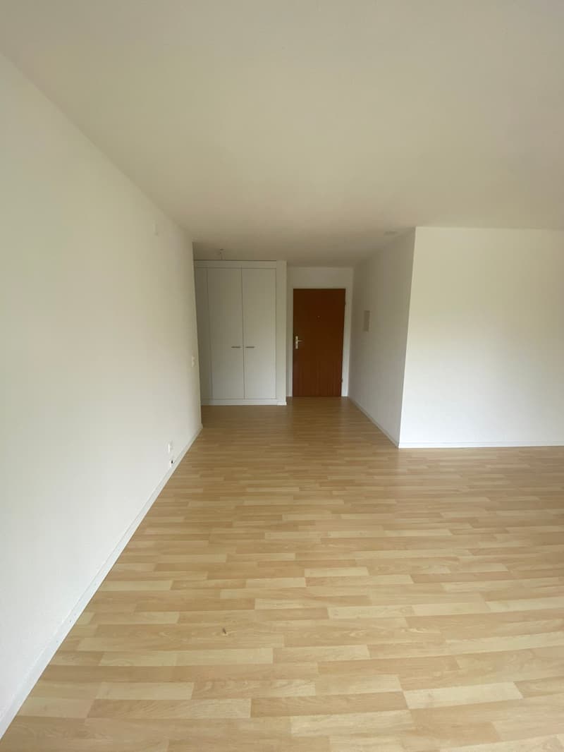 Frische 3.5-Zimmer-Wohnung mit Balkon in Olten (9)
