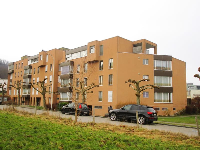 Helle 3.5-Zimmer-Wohnung mit Terrasse in Olten (1)