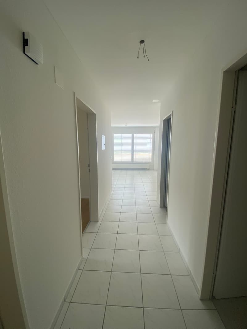Helle 3.5-Zimmer-Wohnung mit Terrasse in Olten (2)