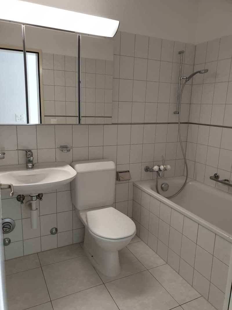 Gemütliche 1-Zimmer-Wohnung mit Balkon in Schöftland (5)