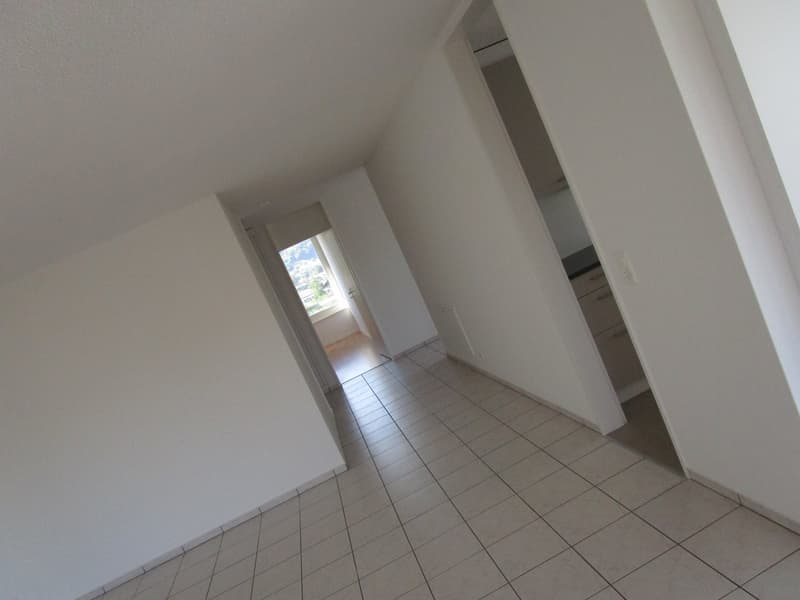 3.5-Zimmer-Attikawohnung (12)