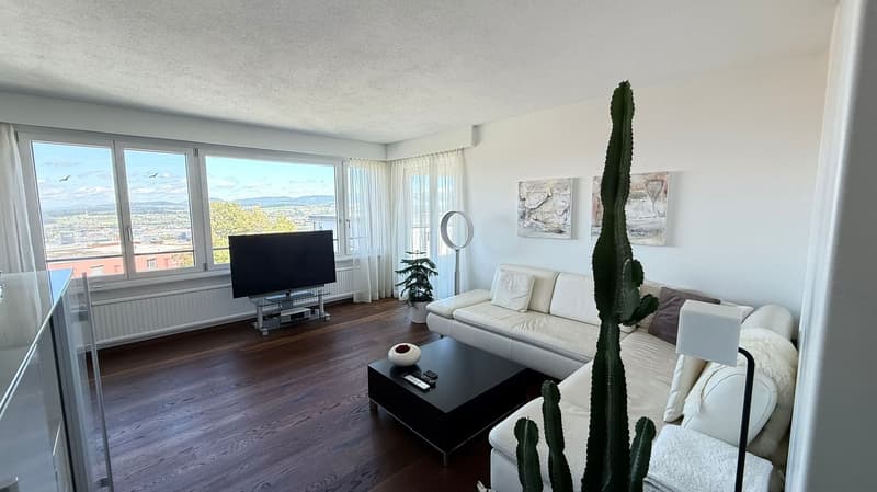 Willkommen Zuhause am Obersack/ Lüssirain in Zug (12)