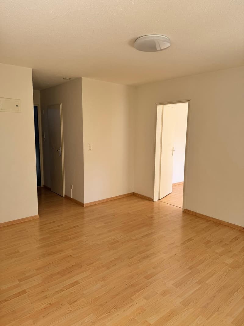2.5 Zimmerwohnung mit Gartenanteil in Hochfelden  per sofort verfügbar (7)