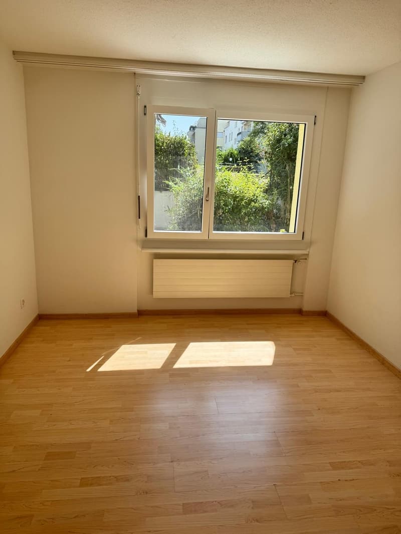 2.5 Zimmerwohnung mit Gartenanteil in Hochfelden  per sofort verfügbar (8)