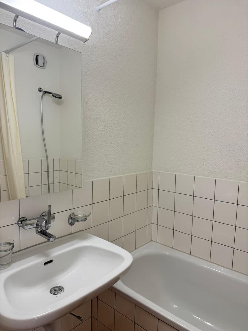 2.5 Zimmerwohnung mit Gartenanteil in Hochfelden  per sofort verfügbar (9)