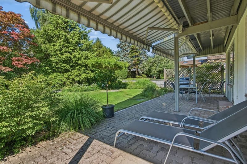 Blick in den Garten