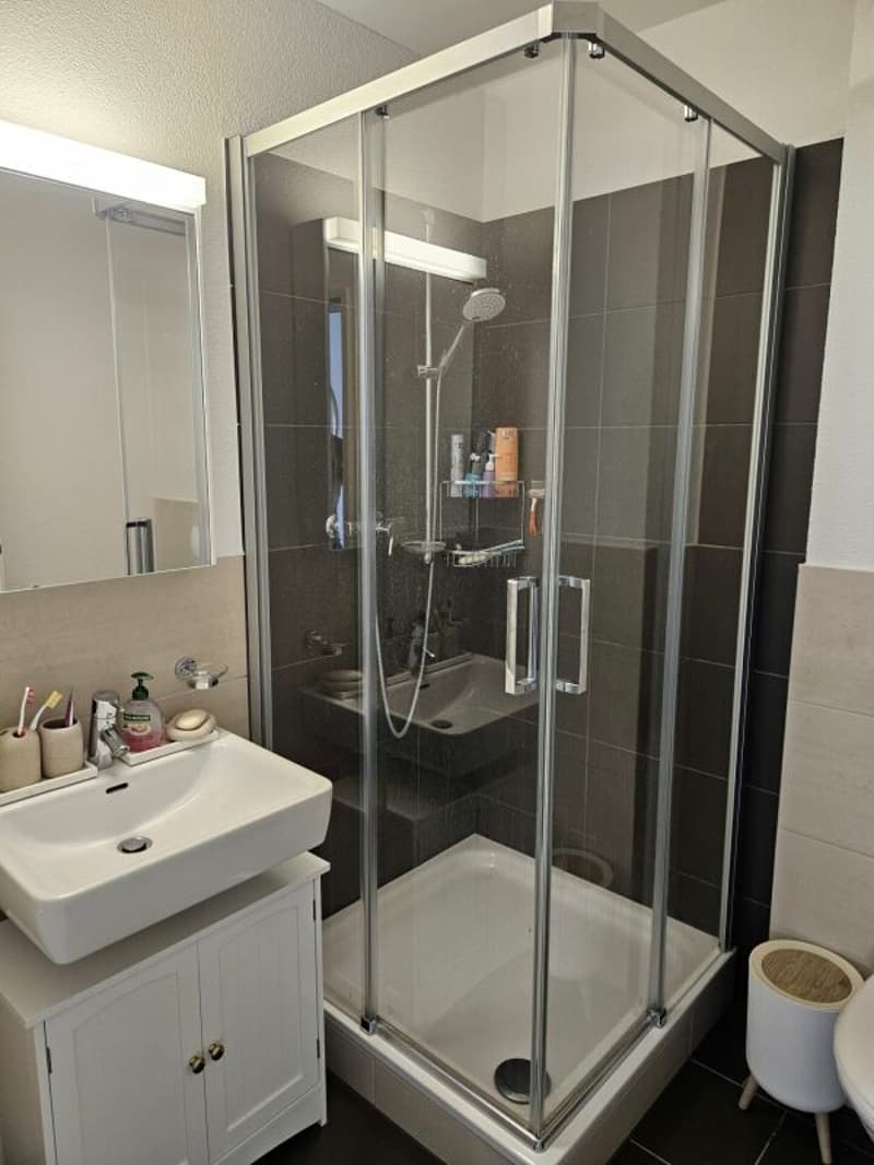 Exklusive 3.5 Zimmer Attika-Wohnung im Eigentumsstandard mit 2 Terrassen (9)