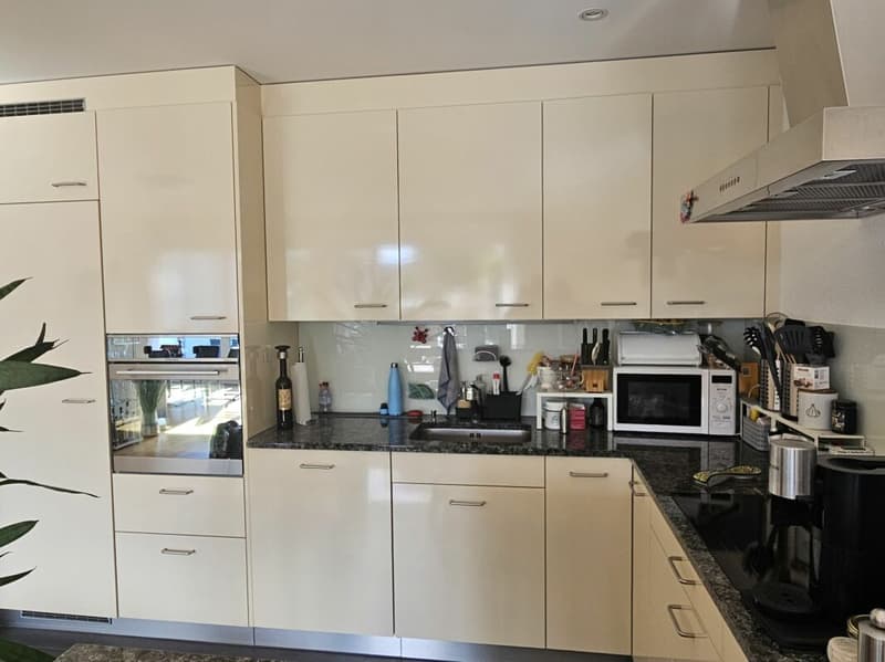 Nachmieter gesucht für schöne 3.5-Zi. Attika-Maisonette-Wohnung mit grosser Terrasse (5)
