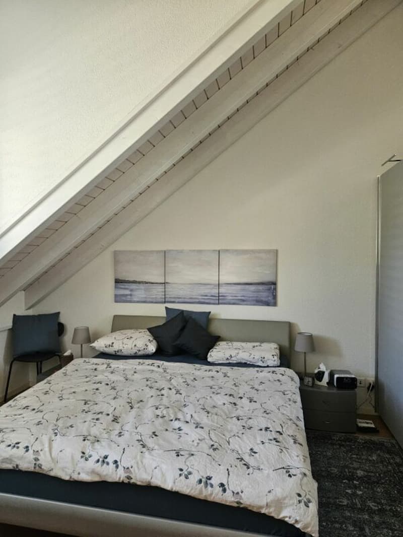Nachmieter gesucht für schöne 3.5-Zi. Attika-Maisonette-Wohnung mit grosser Terrasse (7)