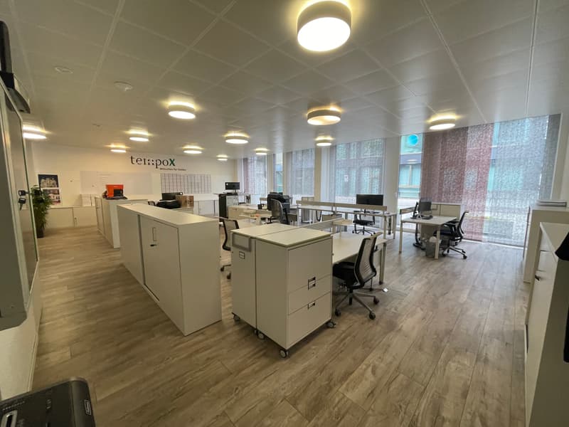 Attractive commercial space with separate storage and 10 parking spaces (8)