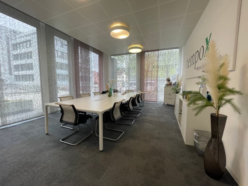 Attractive commercial space with separate storage and 10 parking spaces (6)