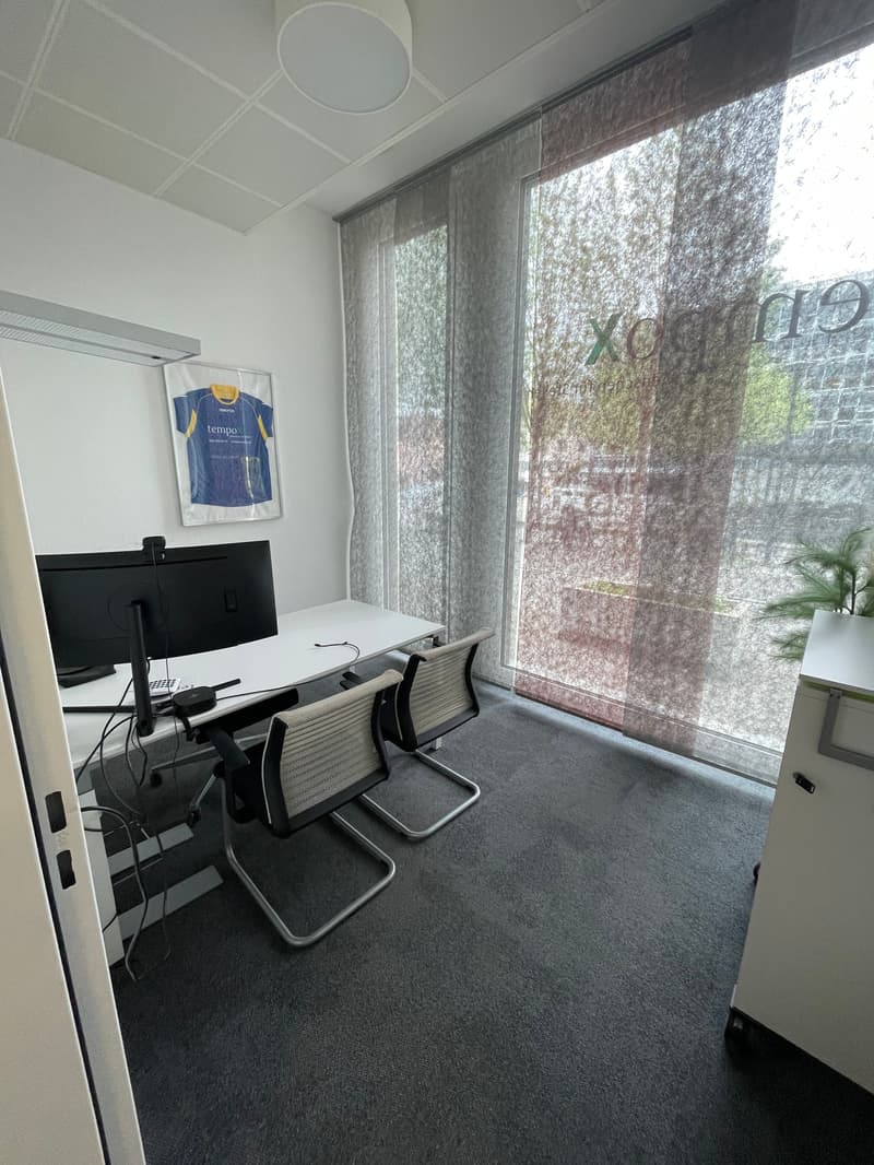 Attractive commercial space with separate storage and 10 parking spaces (4)