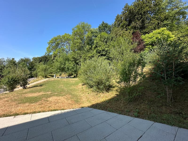 À côté d'Aarau, à Rombach, dans un endroit idyllique avec une vue magnifique (21)
