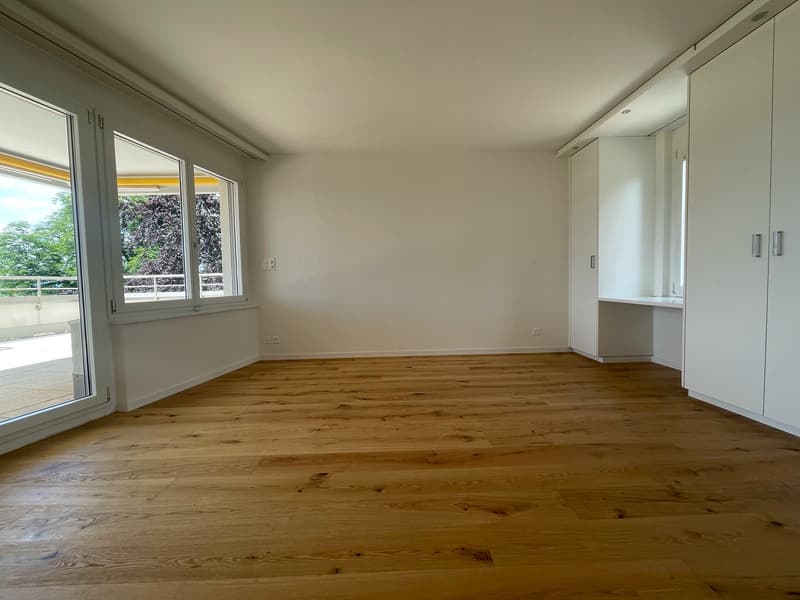 Living above the roofs of Zurich with a lake view (7)