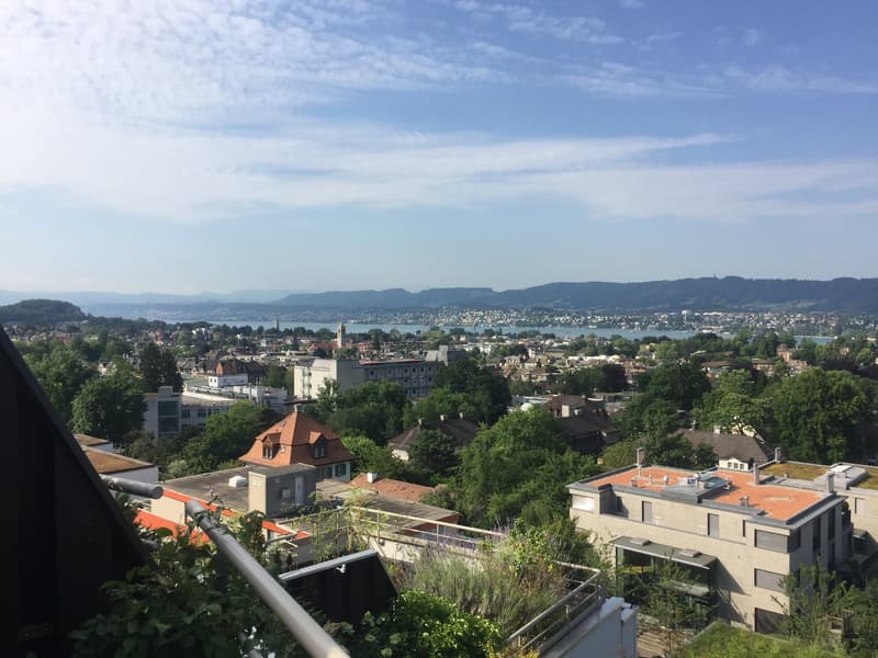 Living above the roofs of Zurich with a lake view (1)