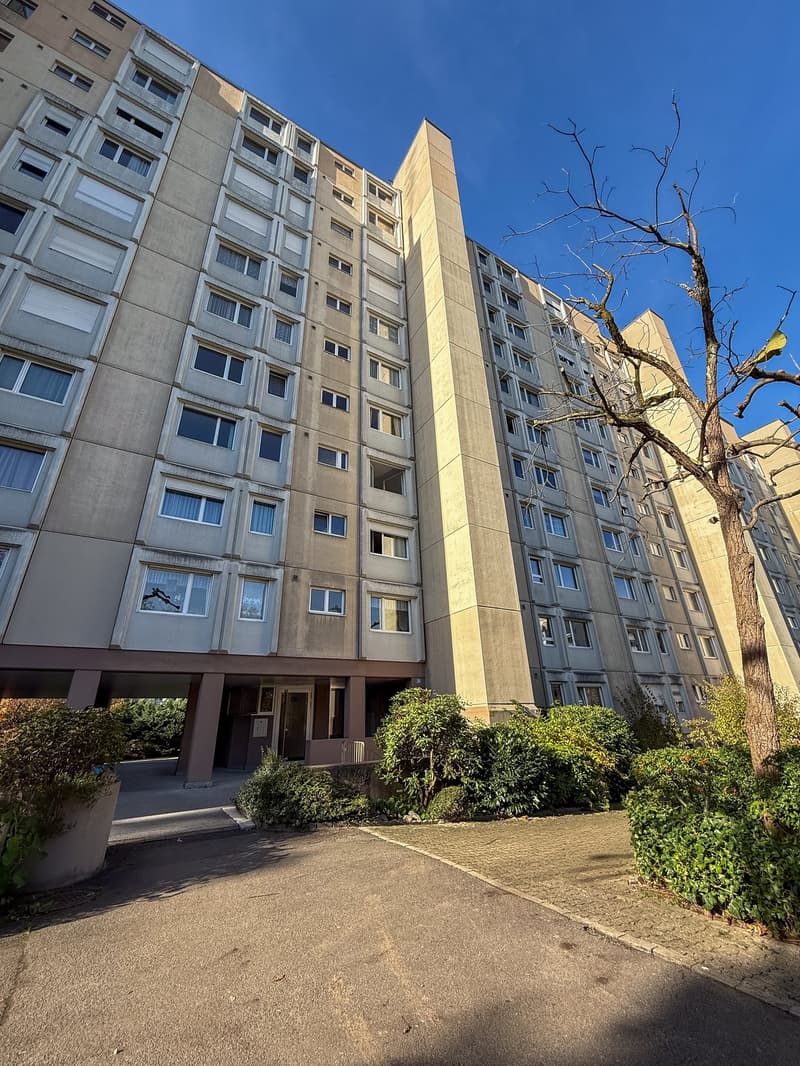 Appartamento di 5 locali luminoso in una posizione centrale e tranquilla a Zürich-Albisrieden (21)