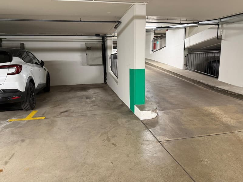 Appartamento di 5 locali luminoso in una posizione centrale e tranquilla a Zürich-Albisrieden (23)
