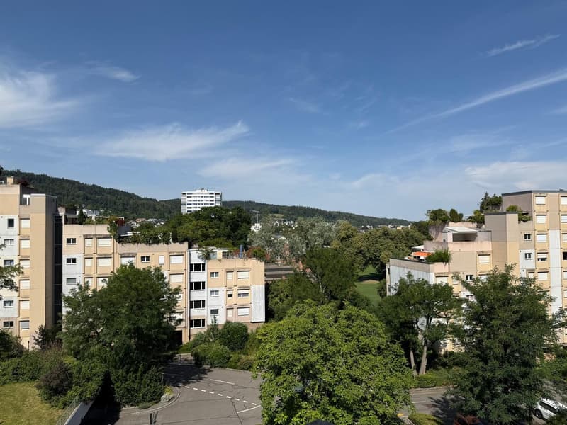 Appartamento di 5 locali luminoso in una posizione centrale e tranquilla a Zürich-Albisrieden (3)