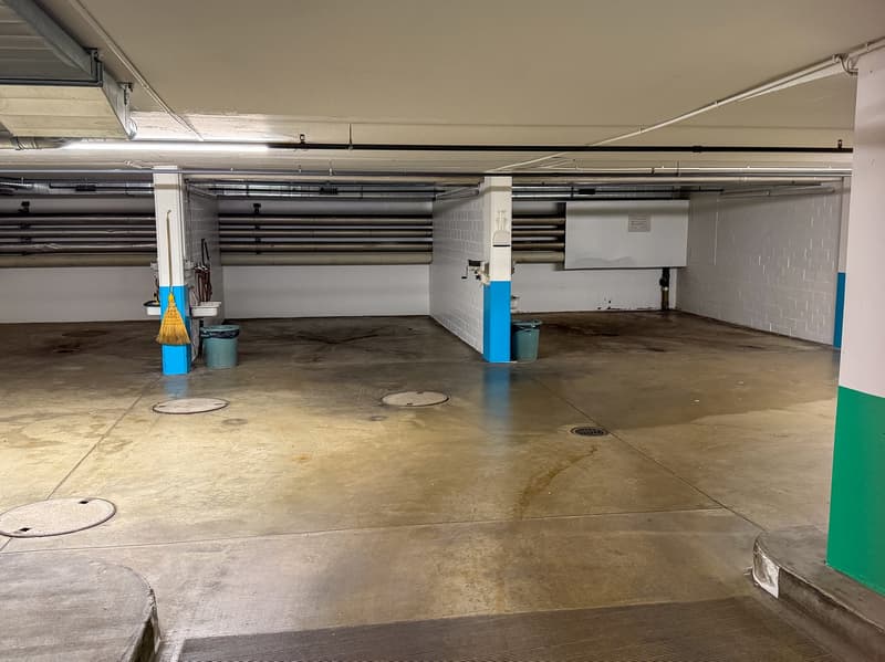 Appartamento di 5 locali luminoso in una posizione centrale e tranquilla a Zürich-Albisrieden (24)