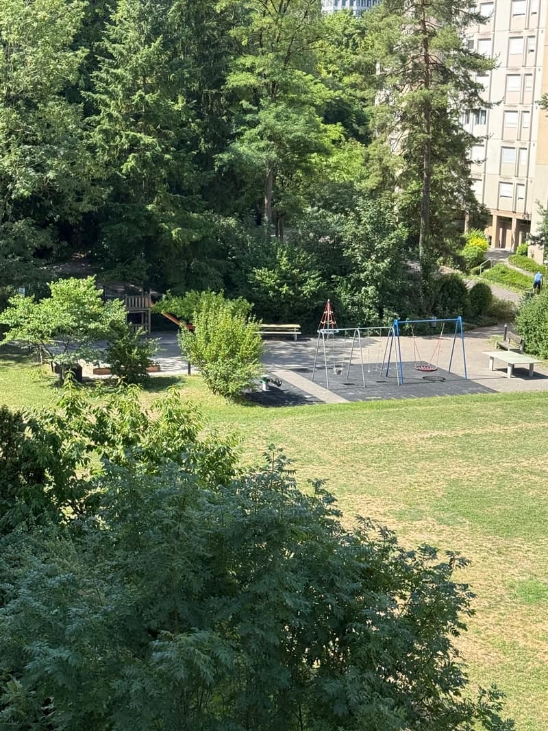 Appartamento di 5 locali luminoso in una posizione centrale e tranquilla a Zürich-Albisrieden (5)