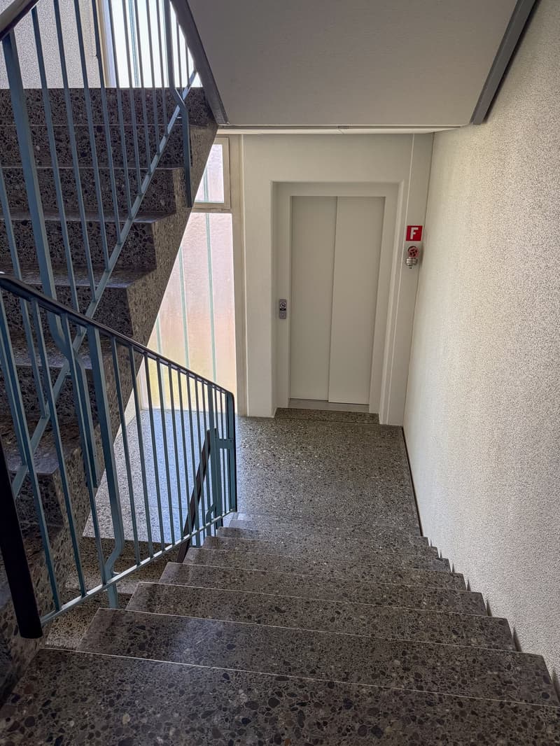 Appartamento di 5 locali luminoso in una posizione centrale e tranquilla a Zürich-Albisrieden (18)
