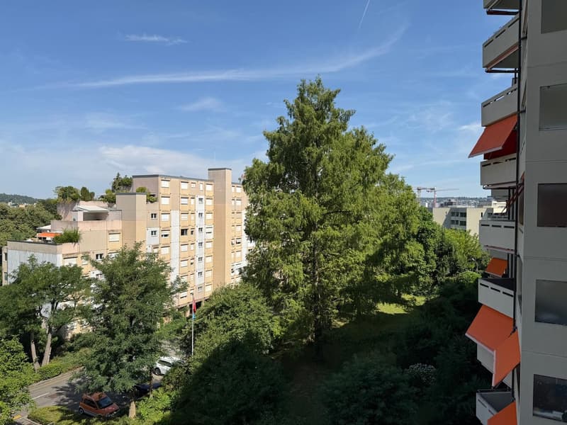 Appartamento di 5 locali luminoso in una posizione centrale e tranquilla a Zürich-Albisrieden (4)