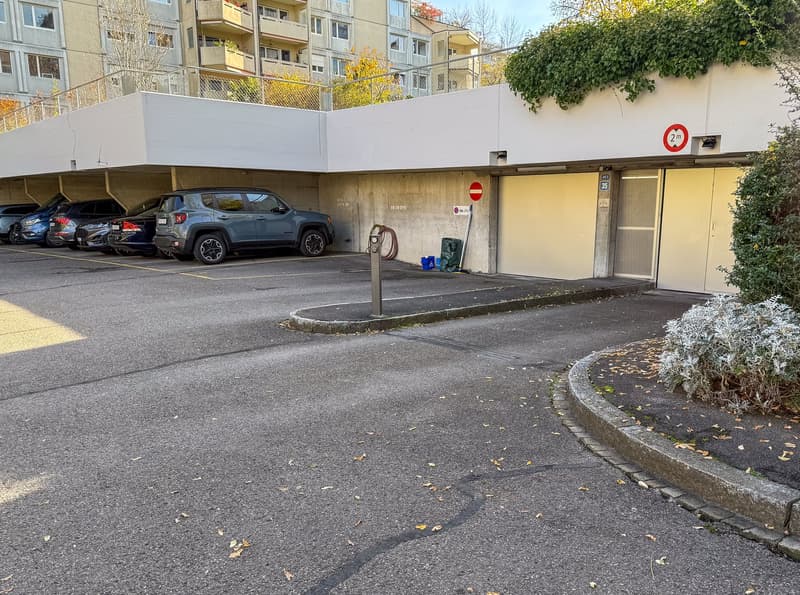 Appartamento di 5 locali luminoso in una posizione centrale e tranquilla a Zürich-Albisrieden (22)