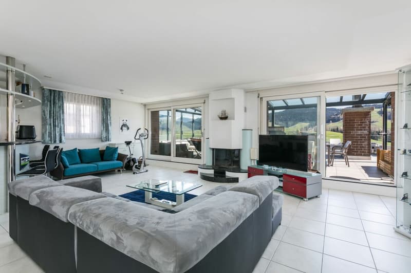 Wohnen mit Weitsicht: 7.5-Zimmer-Terrassenhaus mit Panorama-Terrasse (4)