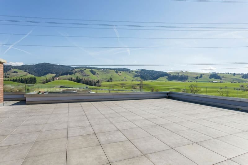 Wohnen mit Weitsicht: 7.5-Zimmer-Terrassenhaus mit Panorama-Terrasse (2)