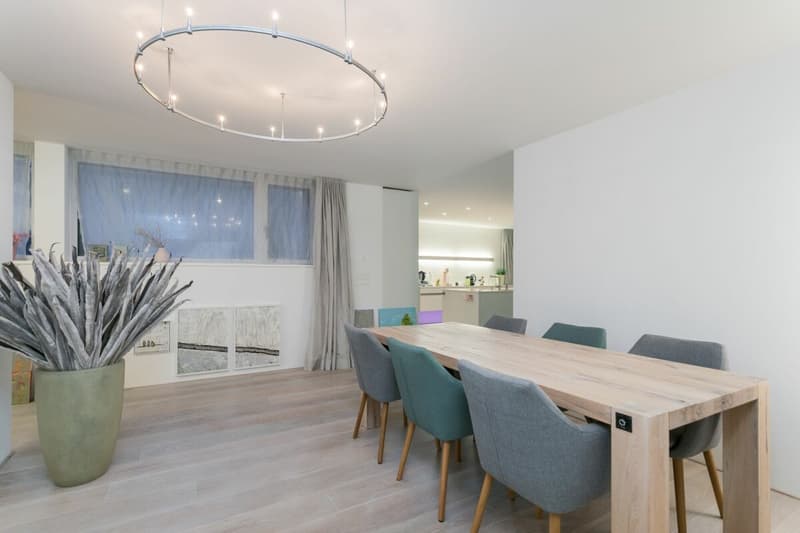 Exklusive 5.5-Zimmer-Wohnung mit Gartensitzplatz in der Stadt Zürich (1)