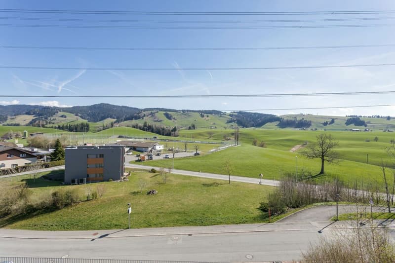 Wohnen mit Weitsicht: 7.5-Zimmer-Terrassenhaus mit Panorama-Terrasse (11)
