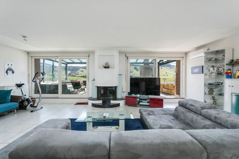 Wohnen mit Weitsicht: 7.5-Zimmer-Terrassenhaus mit Panorama-Terrasse (3)