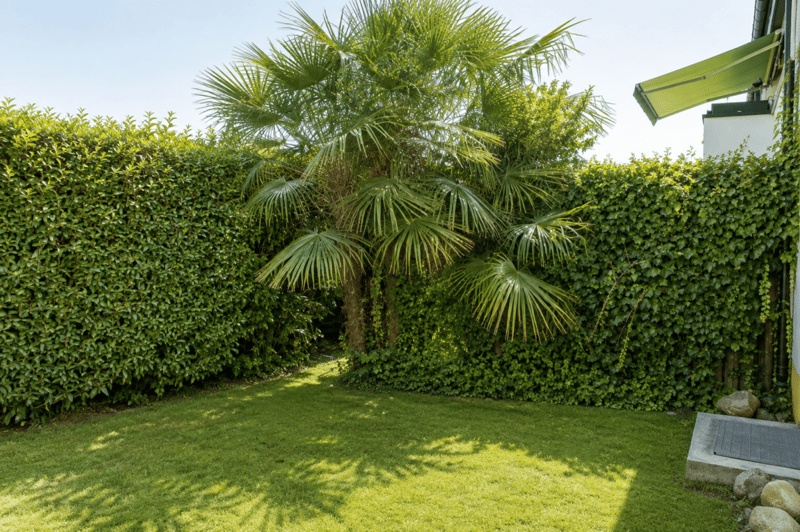 Stilvoll sanierte Gartenwohnung in Herrliberg (9)