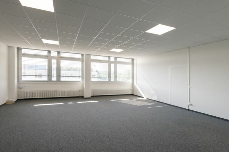 Plug and work - Moderne Büroflächen mit Community-Zonen in Regensdorf (8)