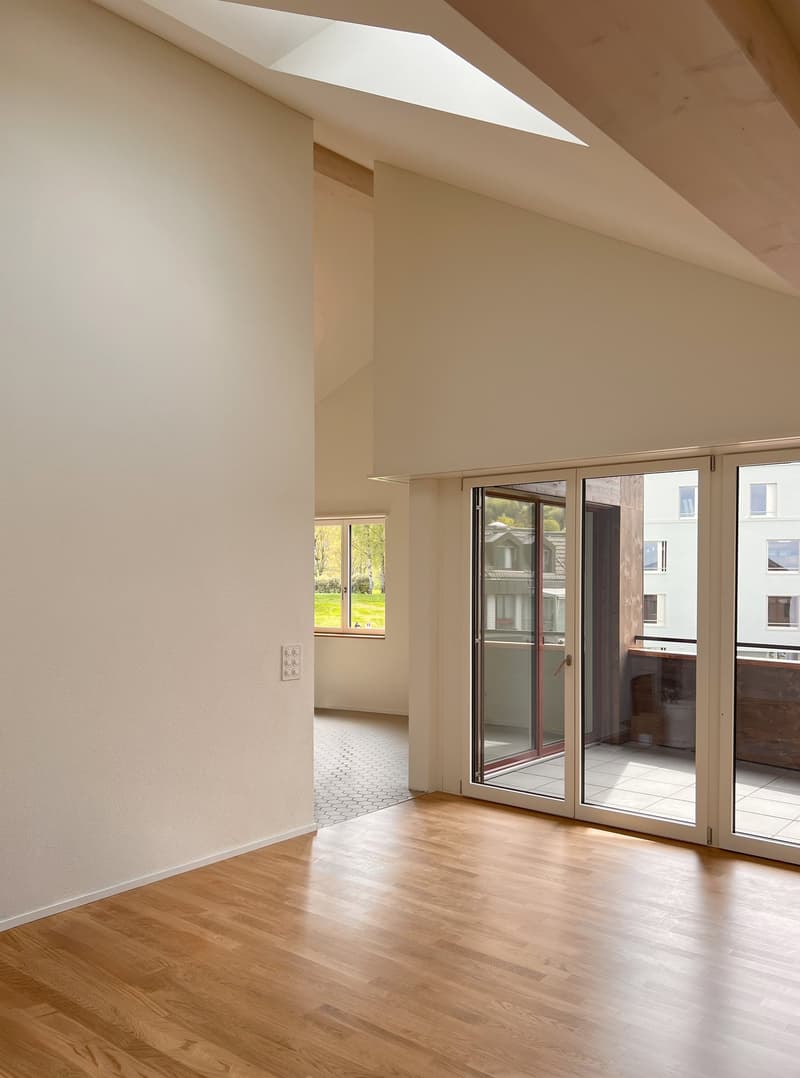 3½-Zimmer-Attikawohnung | Neubau (4)