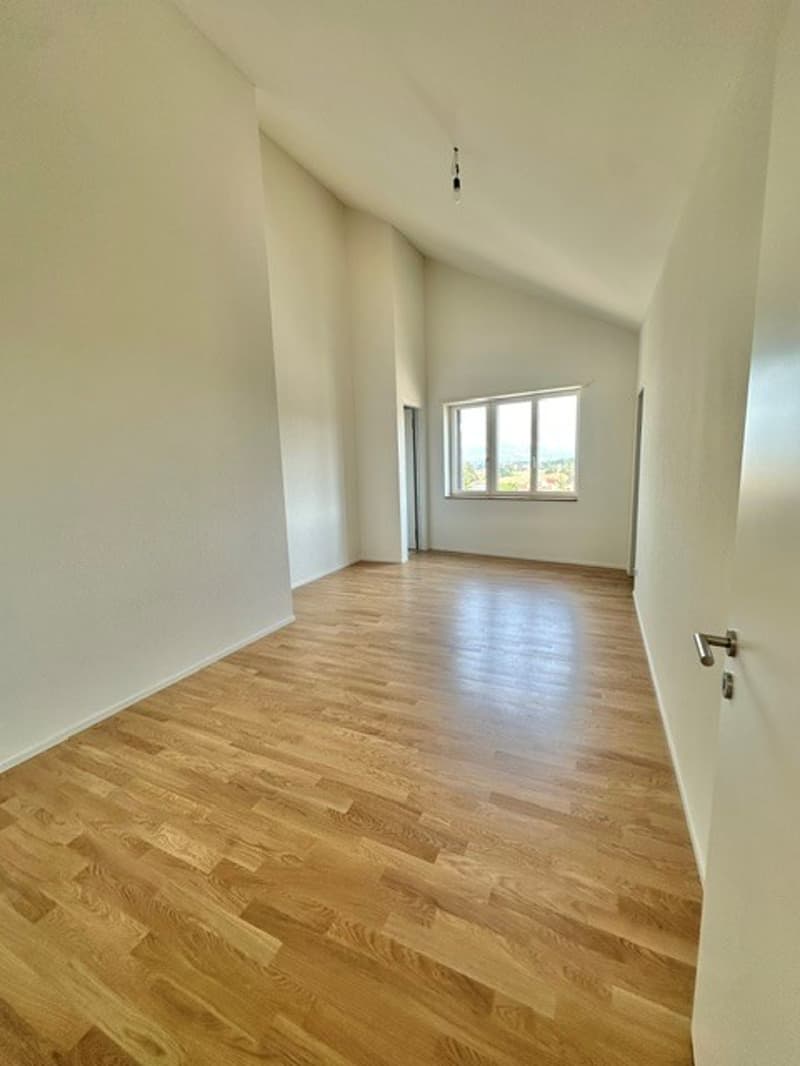 3½-Zimmer-Attikawohnung | Neubau (7)