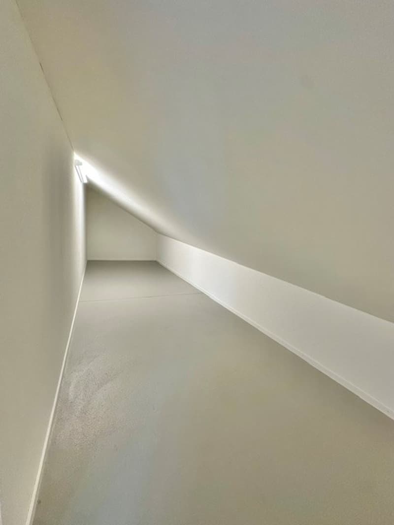 3½-Zimmer-Attikawohnung | Neubau (11)