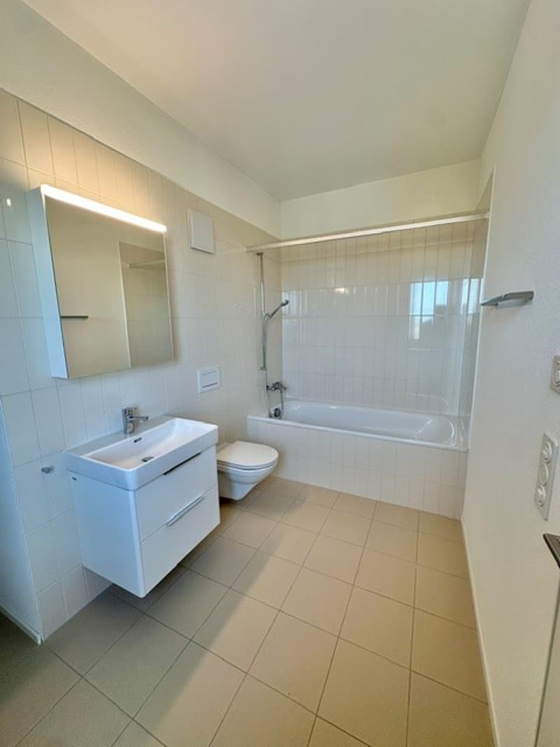 3½-Zimmer-Attikawohnung | Neubau (9)
